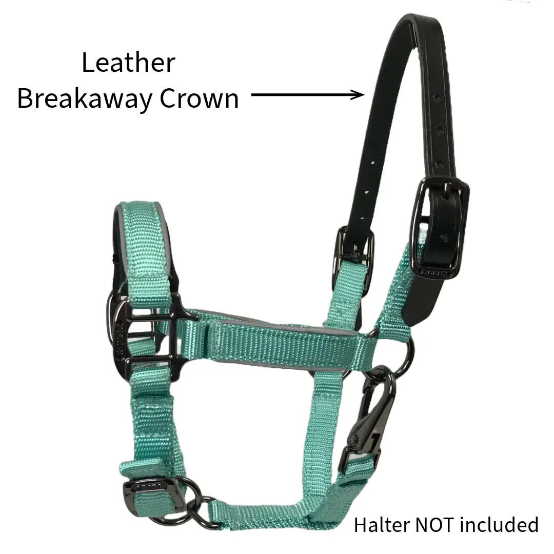 Tahoe Tack 14” Replacement Leather Breakaway Crown for Mini Horse Halters